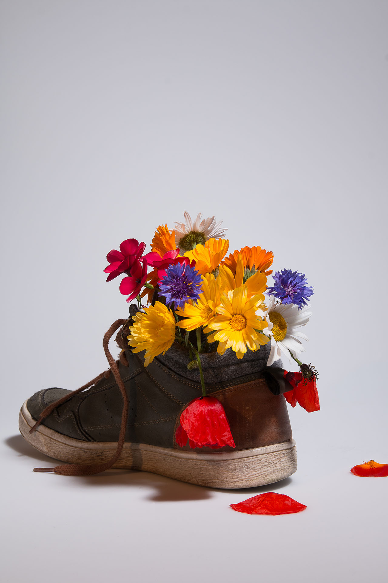 L' Oeil Noir Photographe